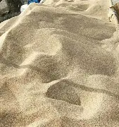 沙尔克球员表现出色，连续取得胜利的简单介绍
