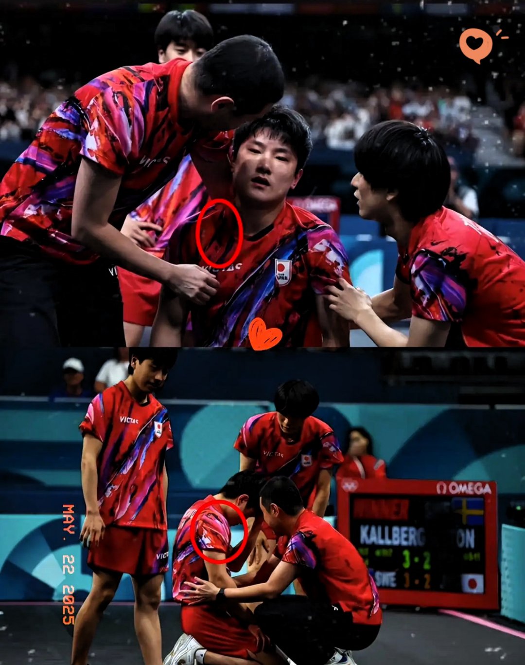 黑白直播免费体育直播-韩国乒乓球队轻取法国乒乓球队，张本智和关键制胜的简单介绍