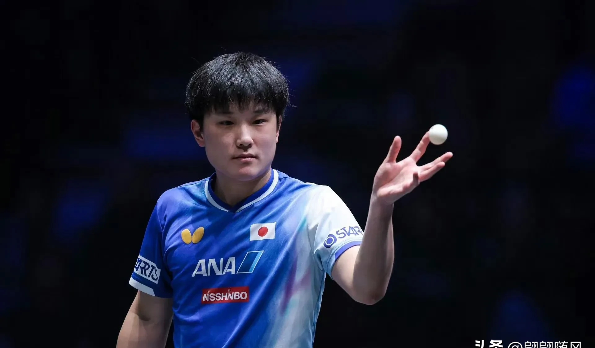 韩国乒乓球队轻取法国乒乓球队，张本智和关键制胜的简单介绍