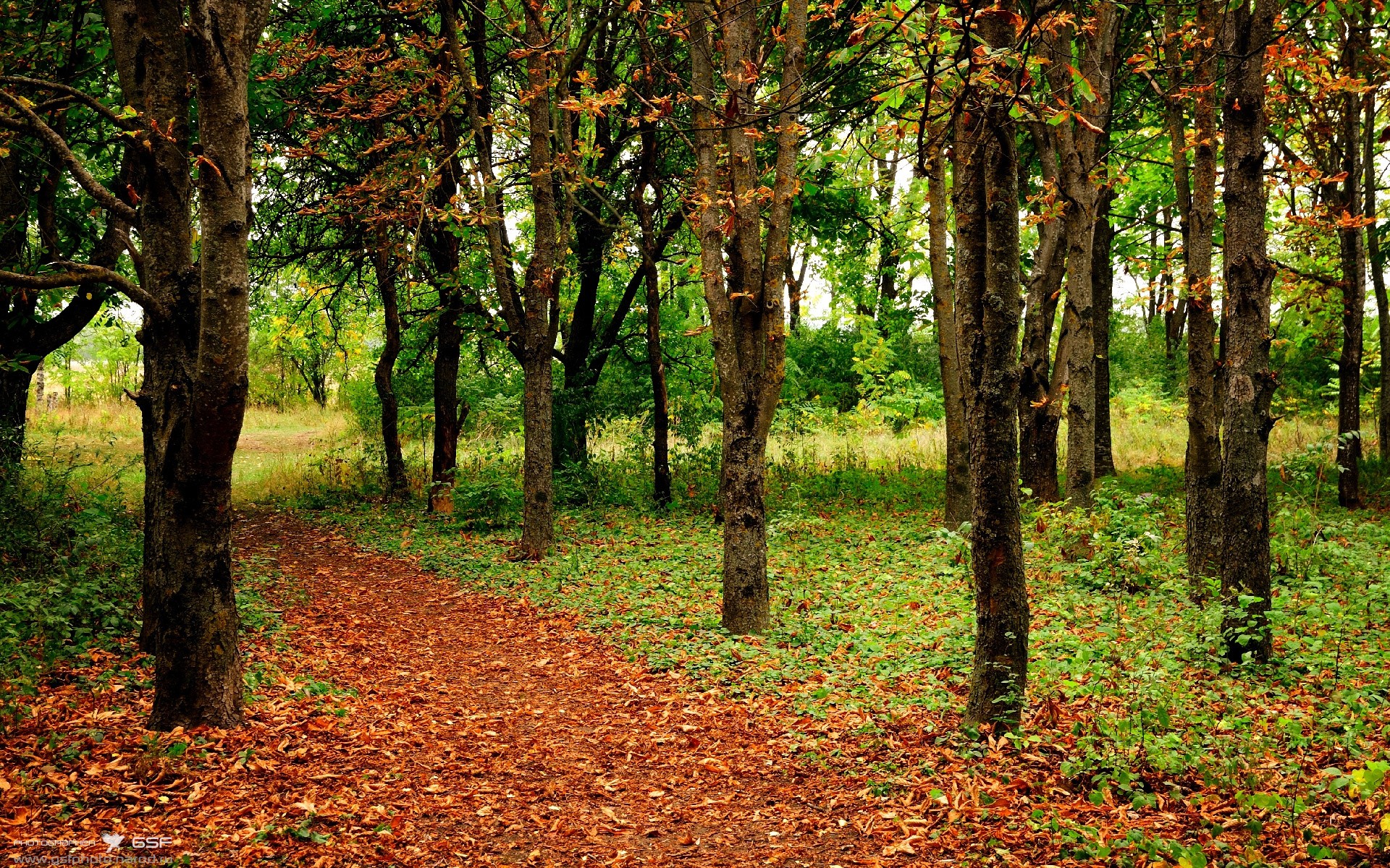 黑白直播nba-速度与体系的终极对决，当牙买加风暴席卷巴萨，哈兰德化身战术破壁人