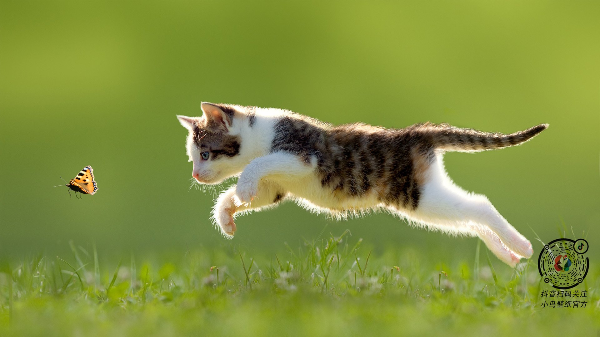 东契奇只手遮天，山西队团队碾压，一场个人英雄与集体力量的碰撞