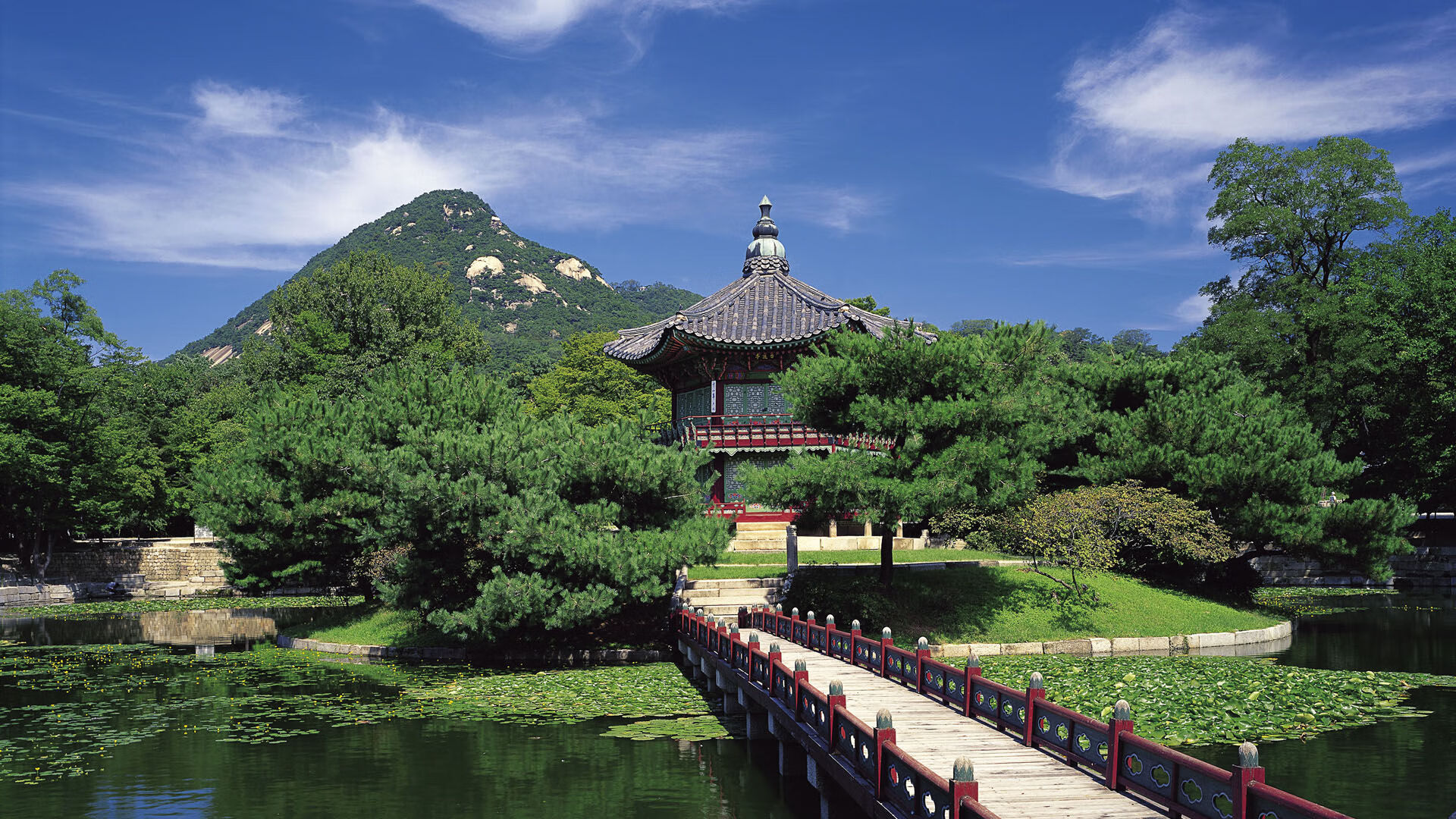 文班亚马教科书级表现闪耀，尼克斯惊险逆转浙江队