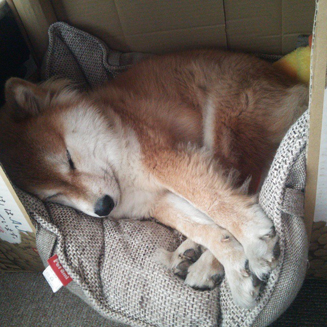 黑白直播在线观看nba-恩佐以冰刃劈开纪录,塞内加尔用绝杀为非洲足球加冕