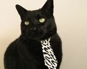 东决关键战之夜，范弗利特冠军级表现铸就传奇