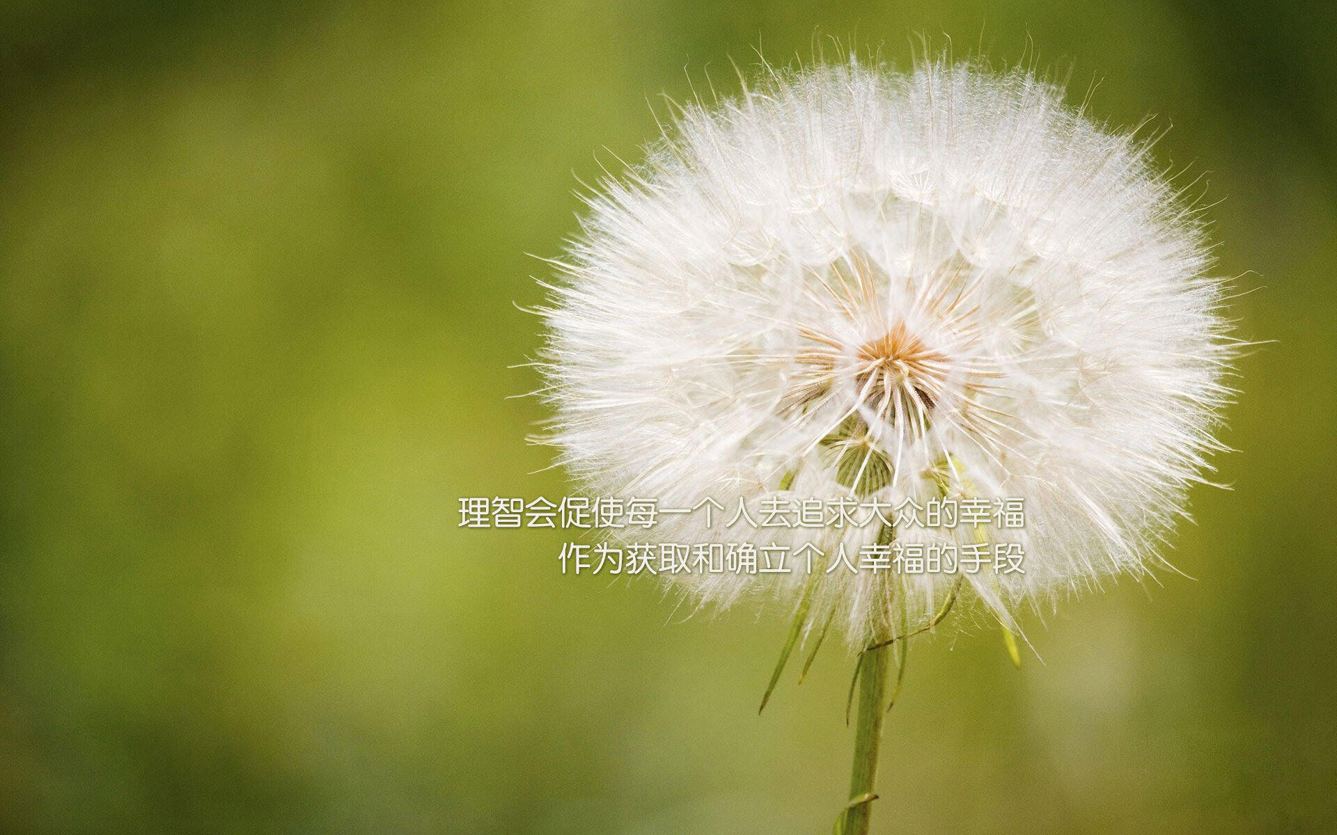 英格拉姆爆发引领鹈鹕巅峰对决，力克深圳队显王者风范