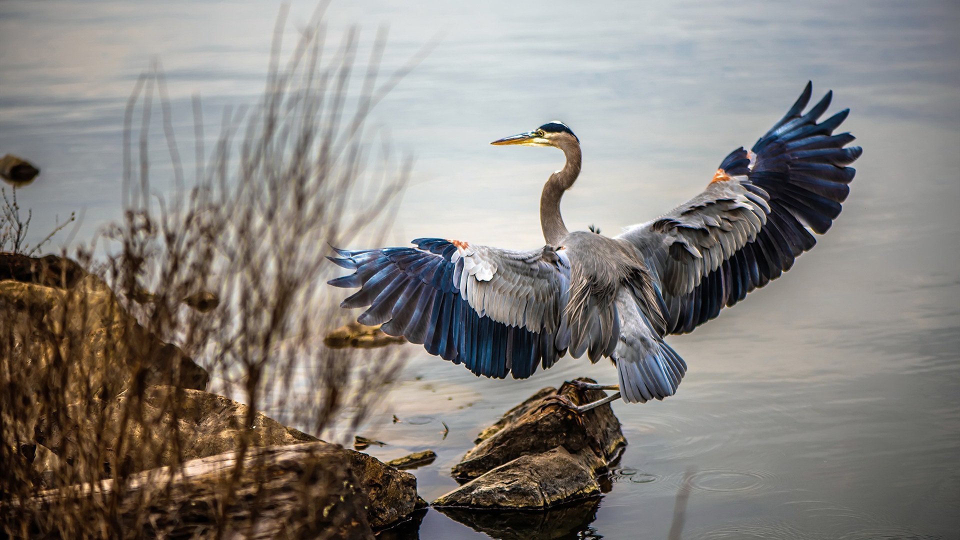战术革命已至！巴斯托尼一剑封喉，国际米兰上演苏格兰式闪电战击溃曼联