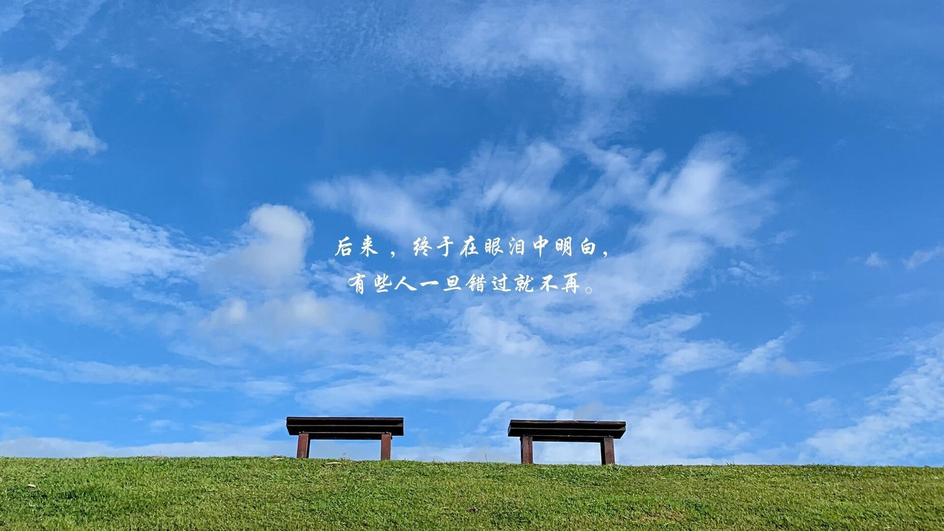 孤胆与铁血，武切维奇的欧冠神话与森林狼的生存法则