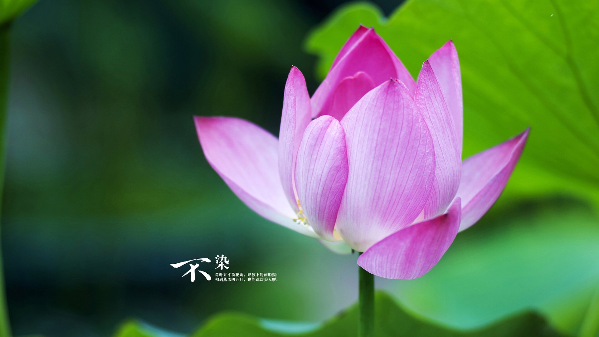 冰城铁骑踏碎血色残阳，杰伦·格林满分风暴引领吉林下克上史诗