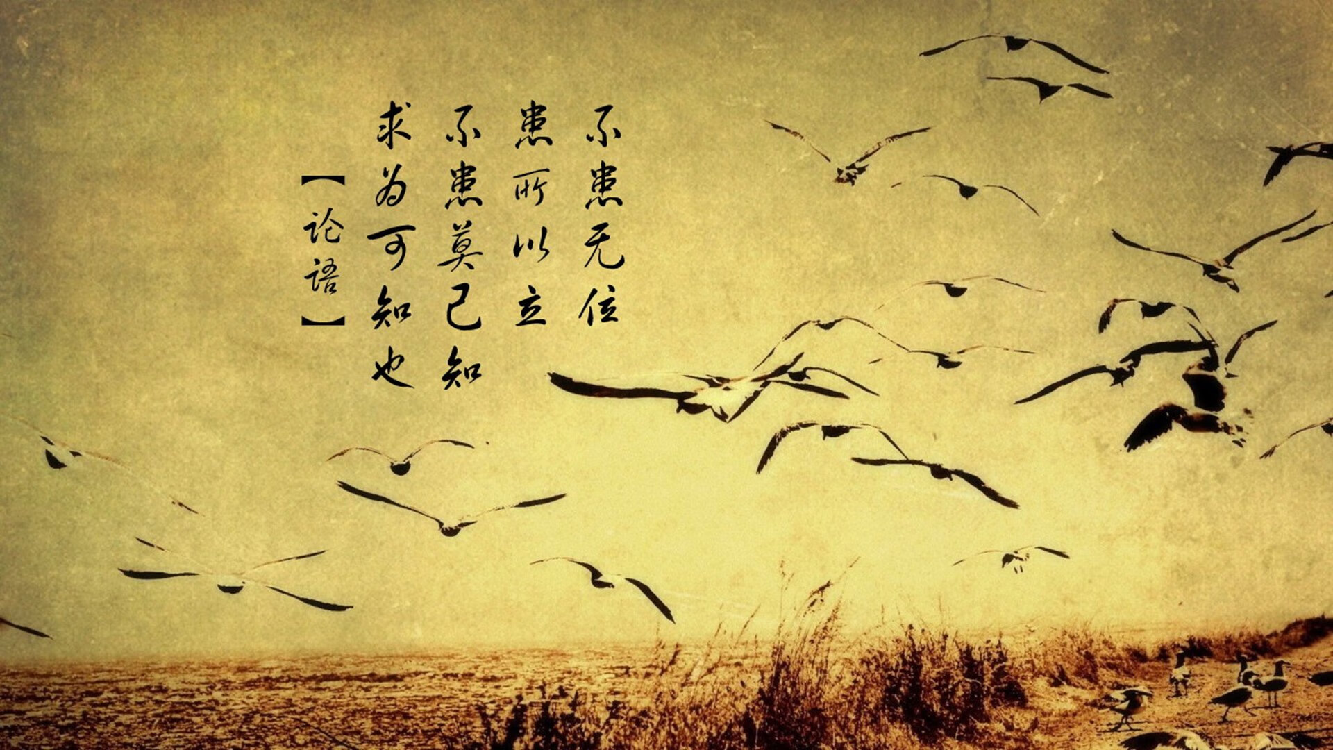 戈麦斯，当越大舞台照进越强灵魂，勒沃库森以德式精度制霸东瀛