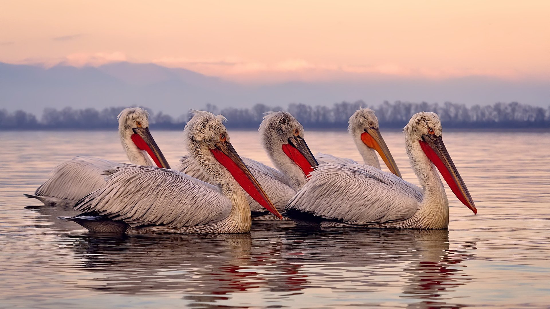 2026世界杯焦点战,广东队鏖战魔术,绿茵场上的魔法对决