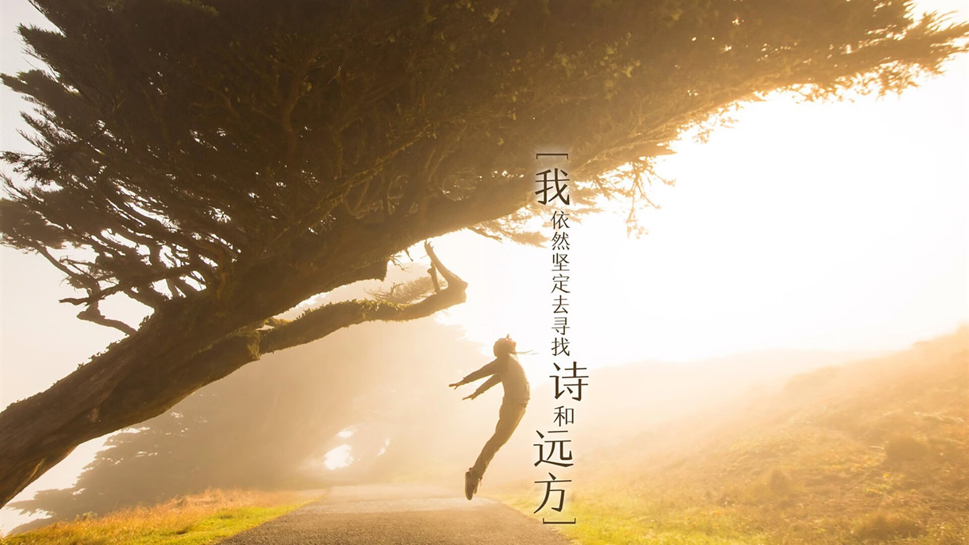 跨越赛场的决胜密码，荷兰速胜揭示东决焦点战的永恒法则