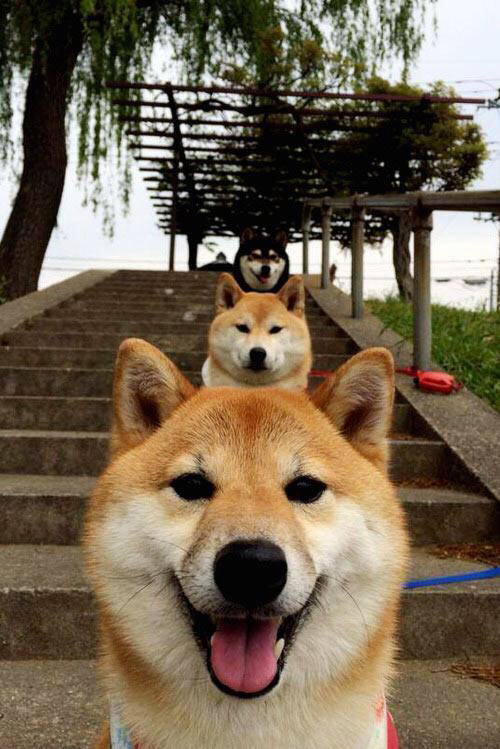 曼城加时鏖战胜莱比锡,德里赫特式统治力闪耀F1争冠战