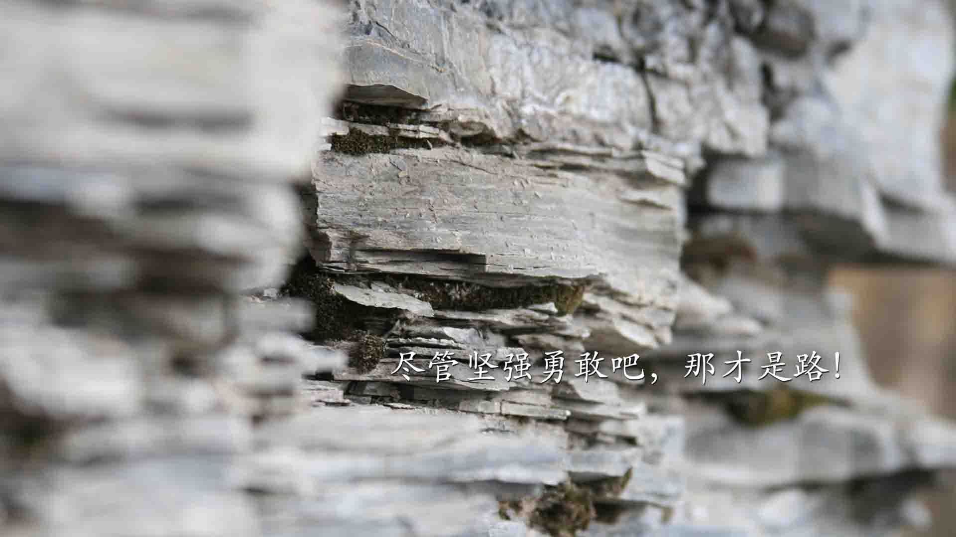 楚阿梅尼一手掌控比赛走势，英格兰劲旅一波流带走莱比锡红牛