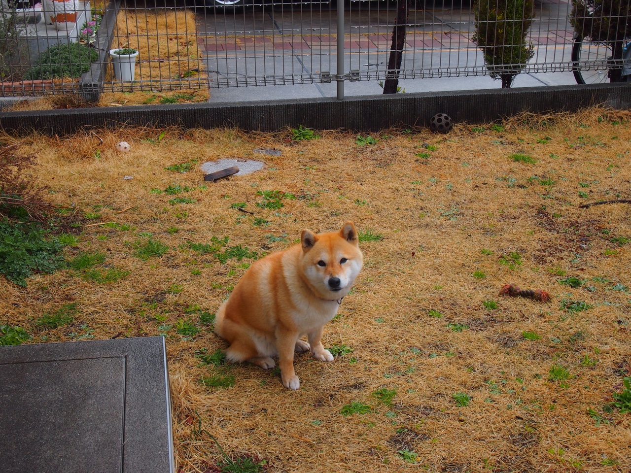 尼斯碾压切尔西，孔德却献上冠军级表演，蓝军暗夜中唯一的星辰