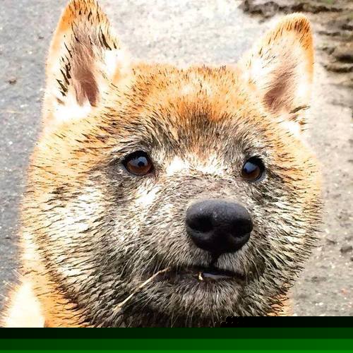 尼斯碾压切尔西，孔德却献上冠军级表演，蓝军暗夜中唯一的星辰