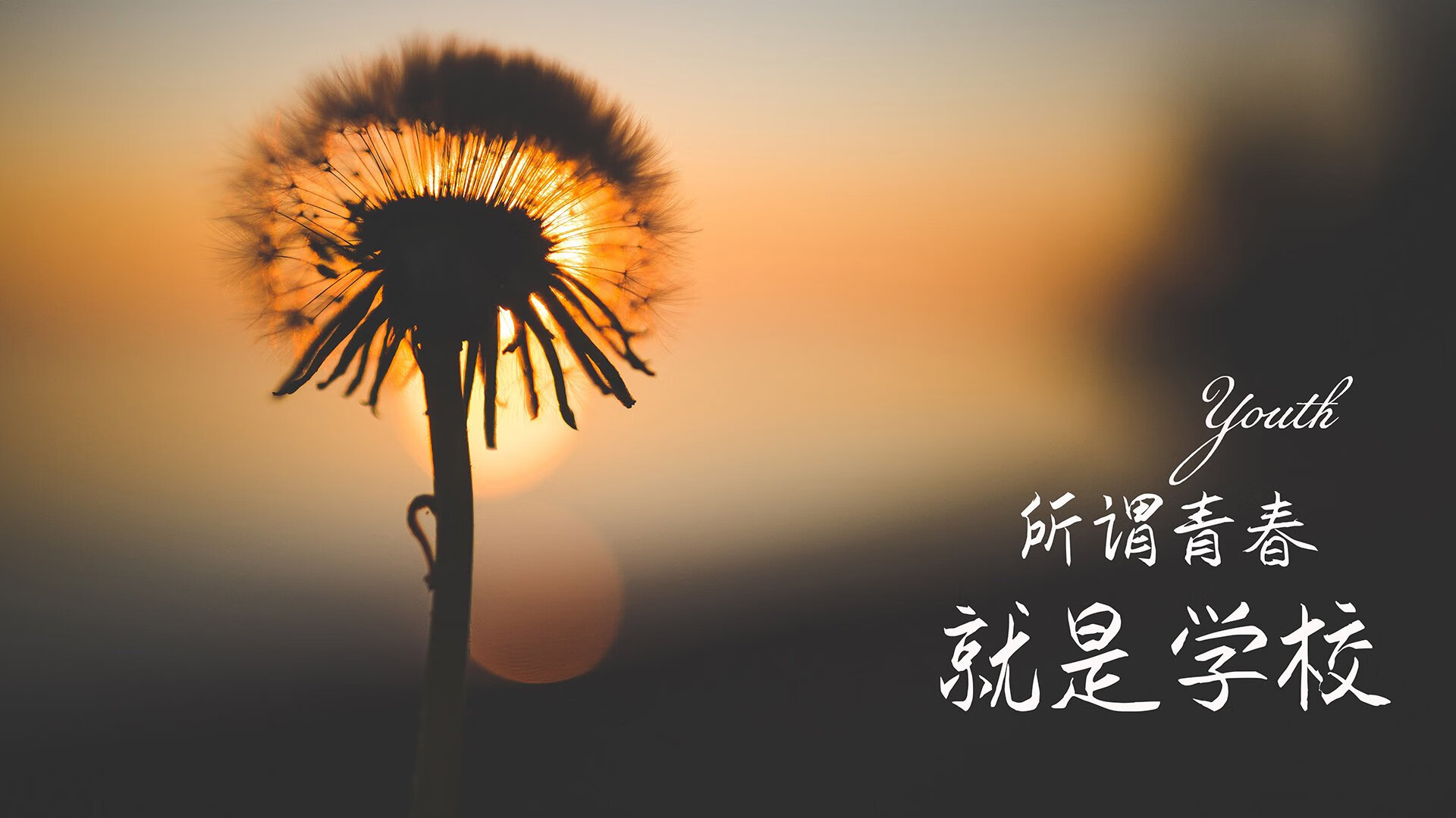 桑巴军团碾压东南亚新军，福登致命一击彰显绝妙默契—2026世界杯A组战记