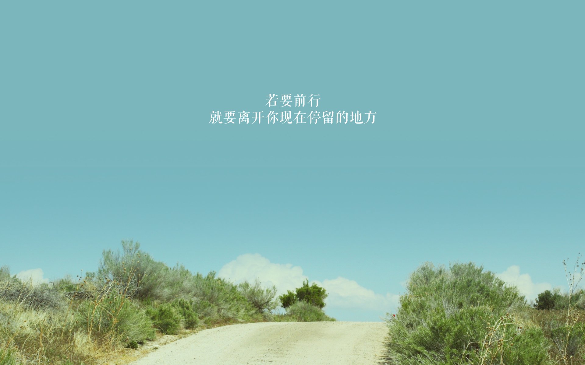 黑白直播体育-黑马之战风云突变,德意志战车碾压喀麦隆,阿诺德率队锁定2026世界杯八强席位